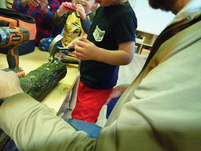 A toddlers view of the mushroom log project.