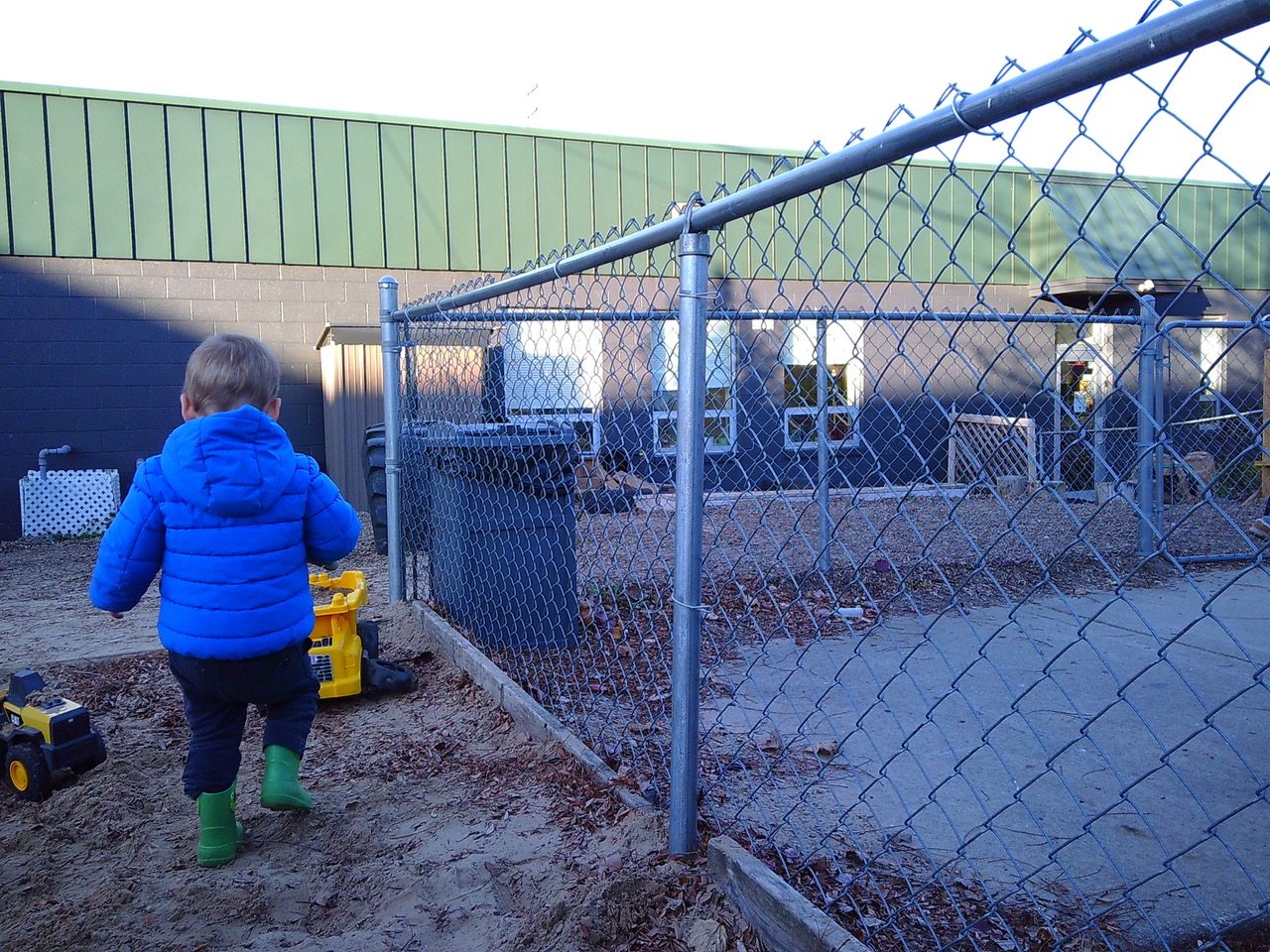 Looking at the fence lines.